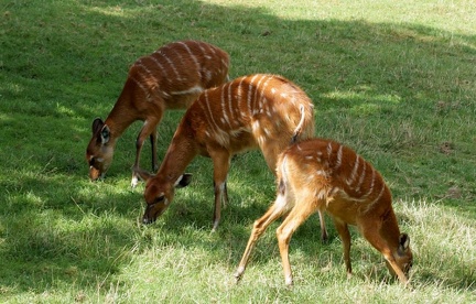 zoo01