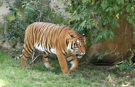 zoo12