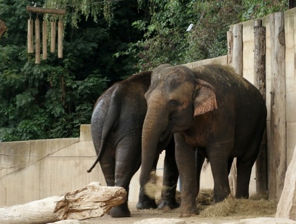 zoo28