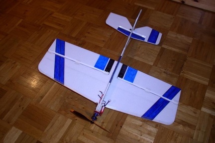 ss 31