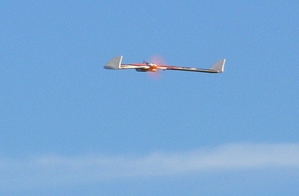 toro 989