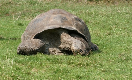 zoo14